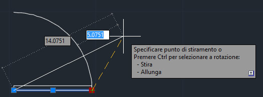 input dinamico