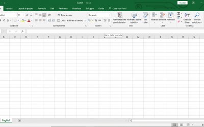 La finestra di Excel