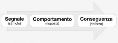 apprendimento: teoria comportamentista